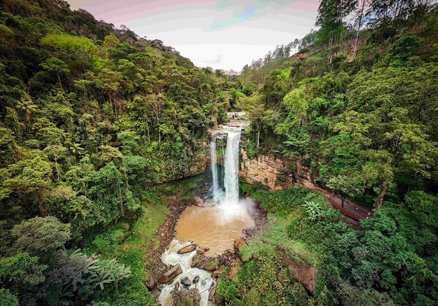 {E1E164AD-C810-DCDC-26DA-E4DD01EEE530}