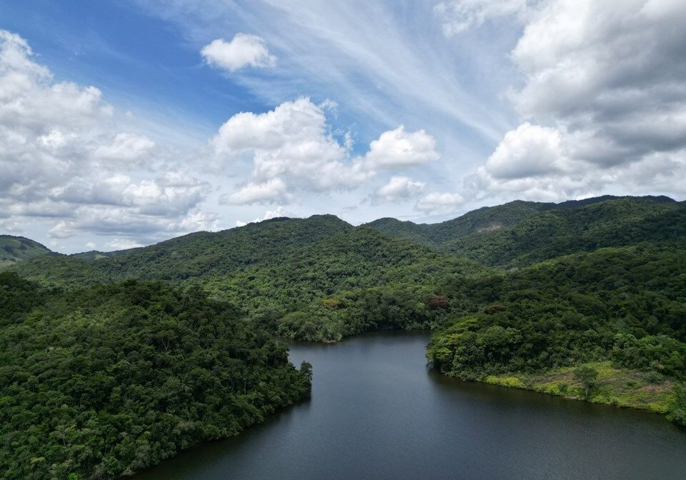 Florestal