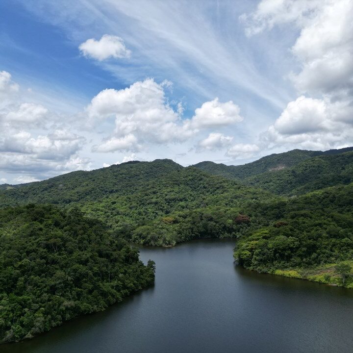 Florestal