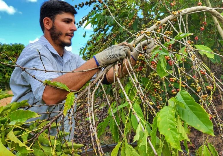 Foto Paulo Sena - SEAMA