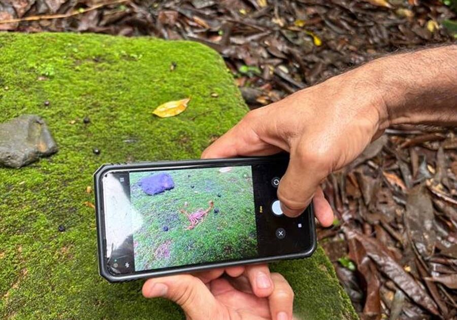 Imagem do WhatsApp de 2025-04-21 à(s) 11.59.20_2b7a0b66