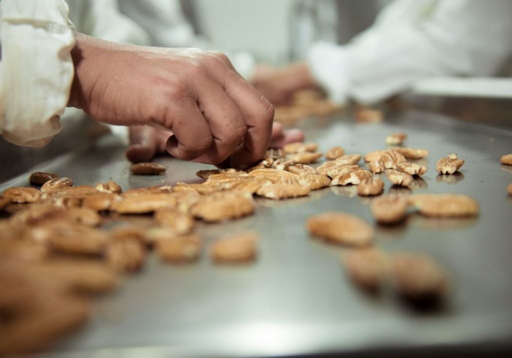 Noz_Pecan_Foto_Divulgacao