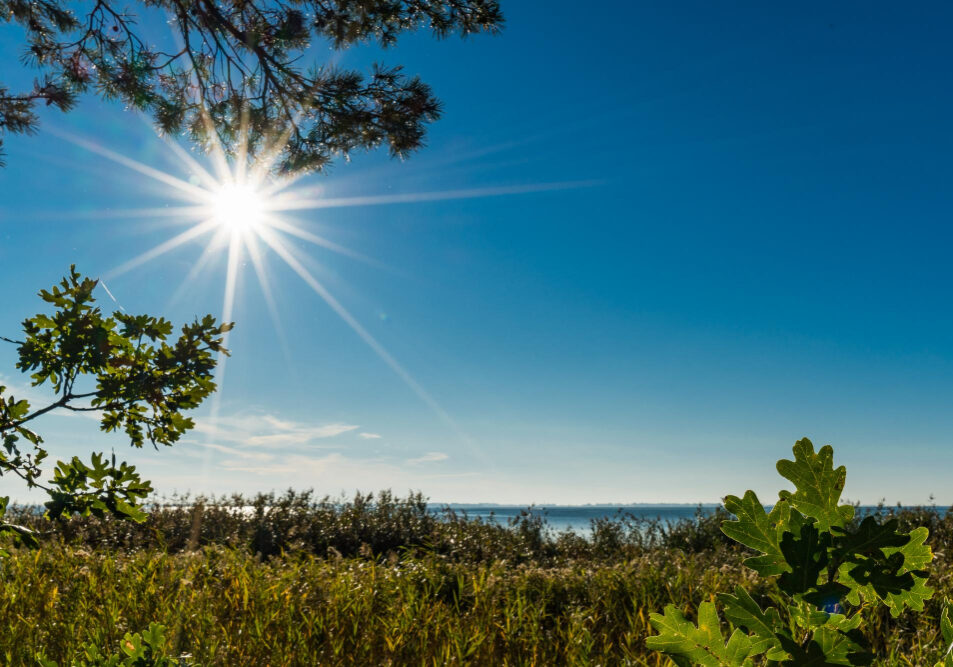 Previsao-do-Tempo_FREEPIK