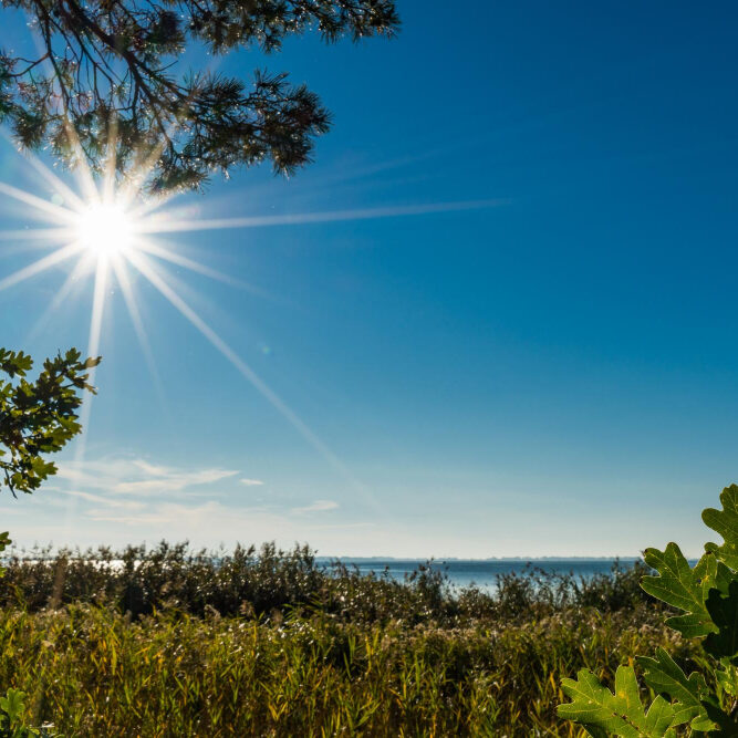 Previsao-do-Tempo_FREEPIK