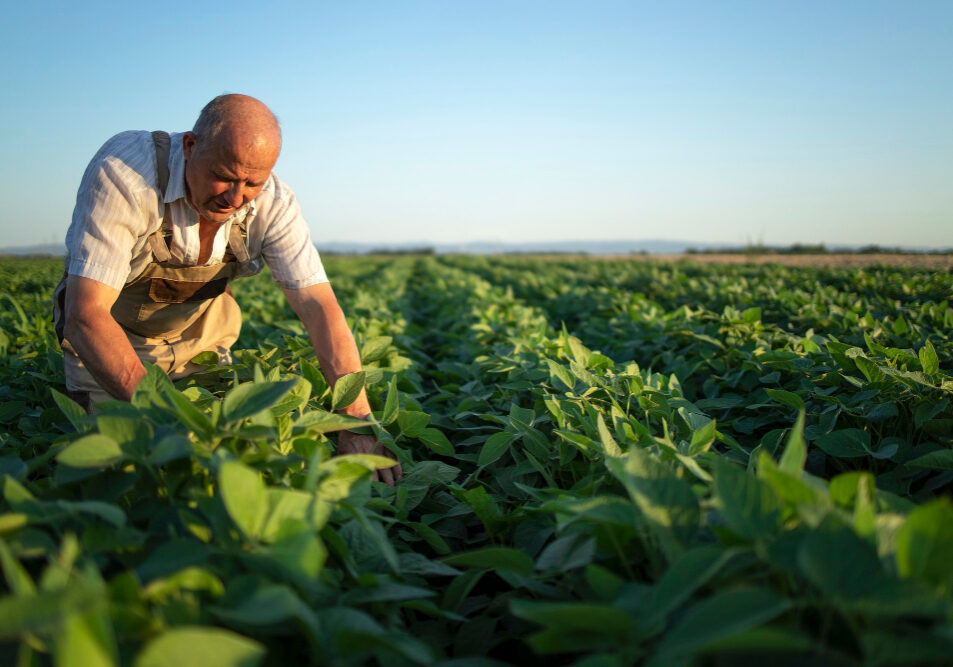 Produtor Rural