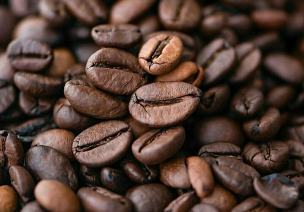 Projeto-preve-a-criacao-da-Politica-Nacional-de-Incentivo-a-Producao-de-Cafe-de-Qualidade