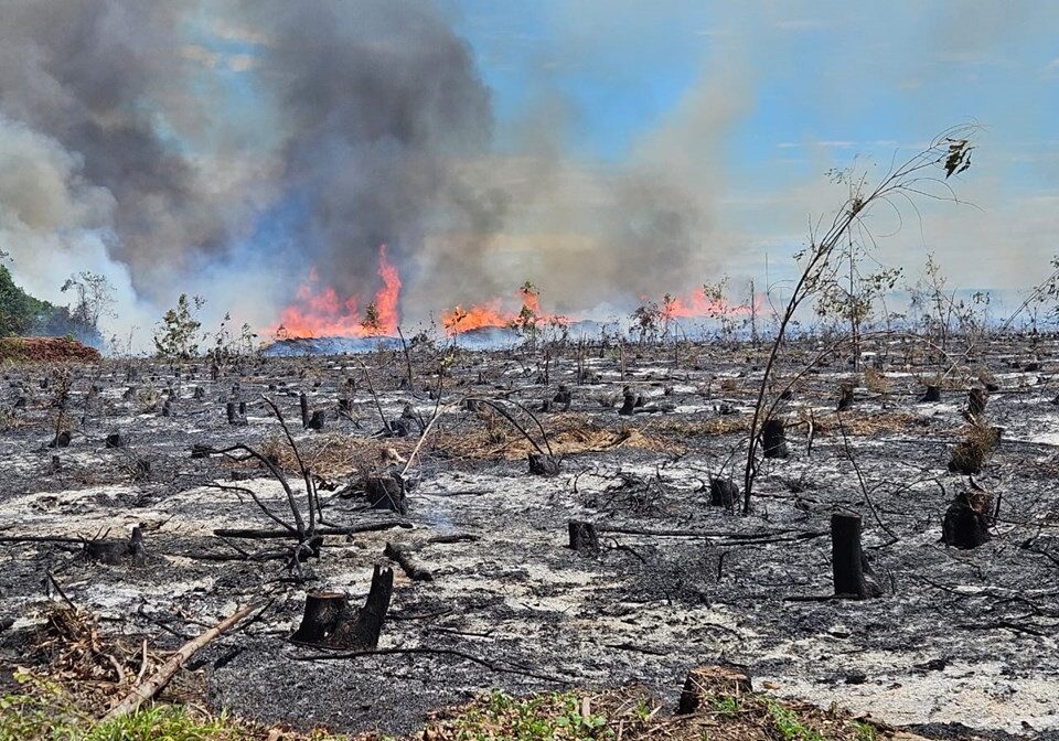 WhatsApp Image 2025-10-22 at 16.32.42