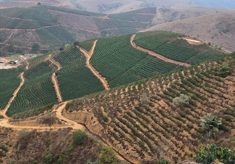 WhatsApp Image 2025-10-30 at 14.06.01