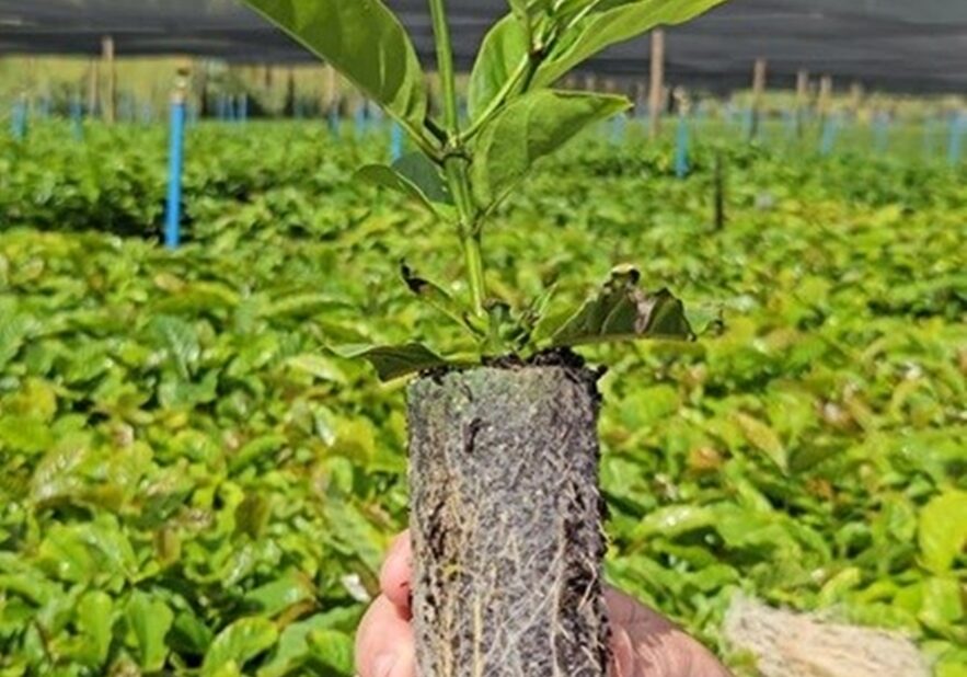 WhatsApp Image 2025-12-05 at 09.44.48-1