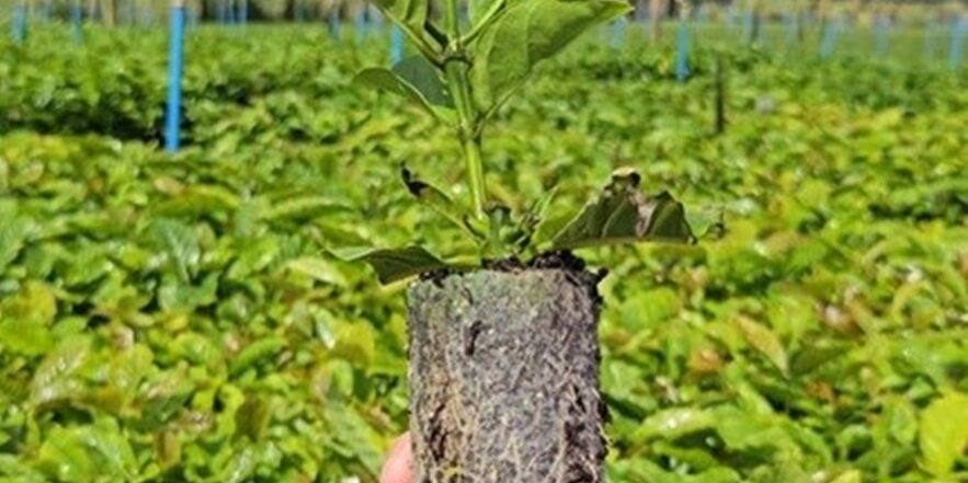 WhatsApp Image 2025-12-05 at 09.44.48-1