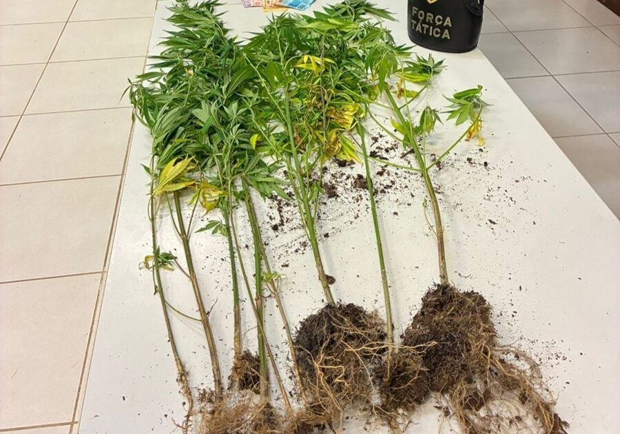 WhatsApp Image 2026-02-02 at 13.29.32