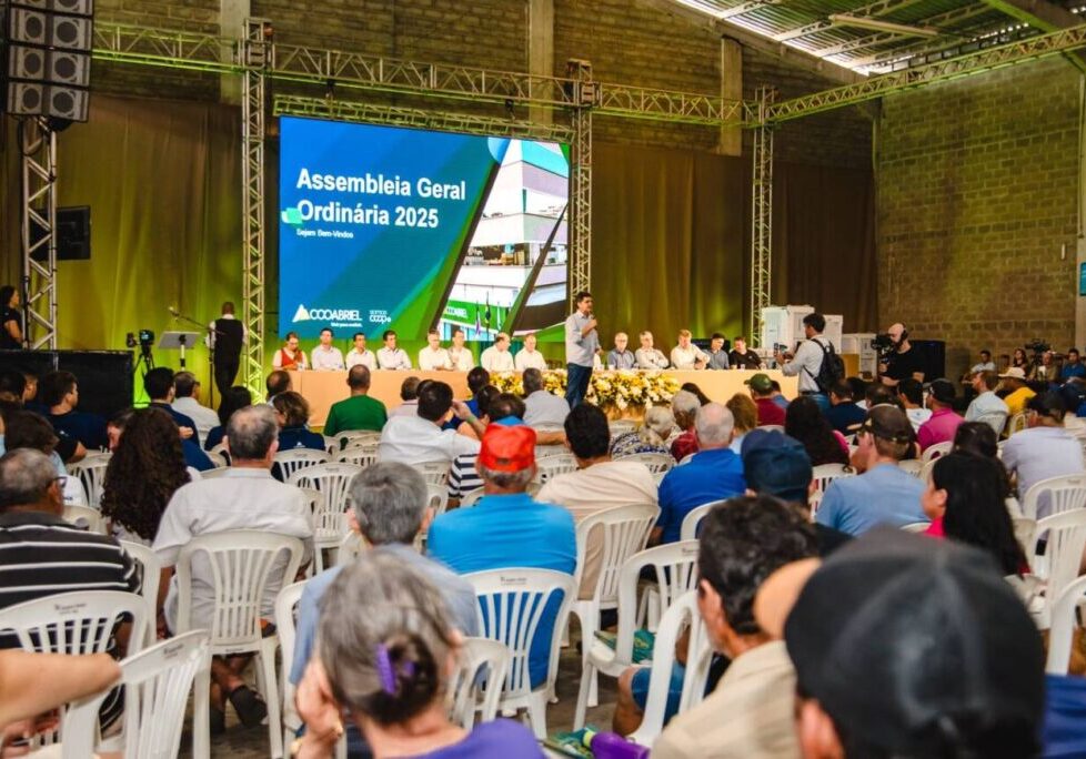 WhatsApp Image 2026-02-03 at 15.32.06