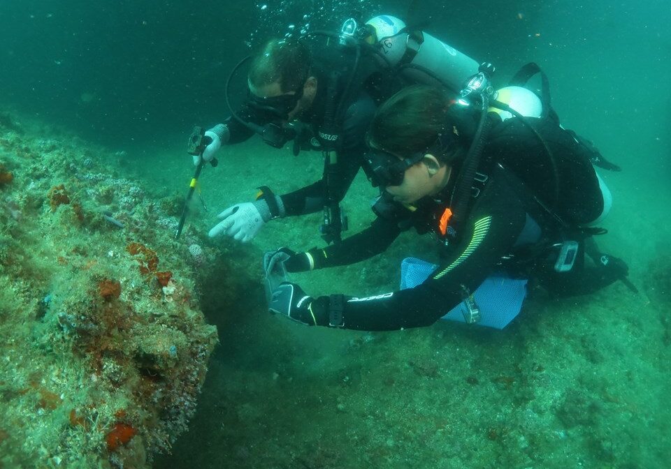 Iema intensifica combate ao coral-sol em Guarapari e já remove quase 3 mil colônias invasoras