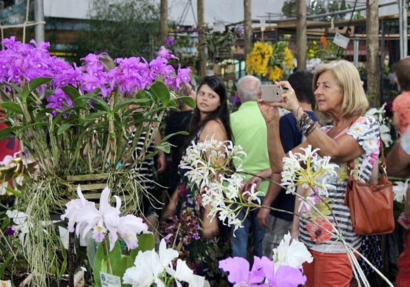 XXI_Blumenfest_colore_Domingos_Martins_neste_final_de_semana