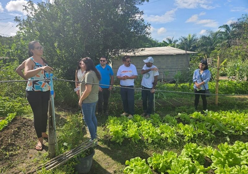 agoecologia chilenos