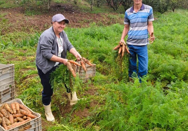 agricultores levam alimentos
