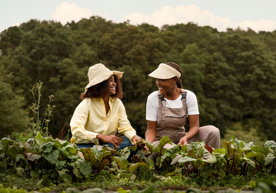 agricultura -freepik