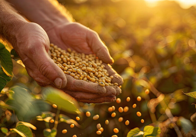 agronegócio- freepik