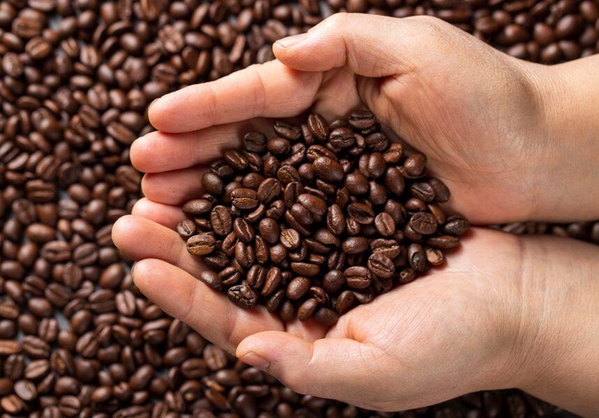 cafe-magnific