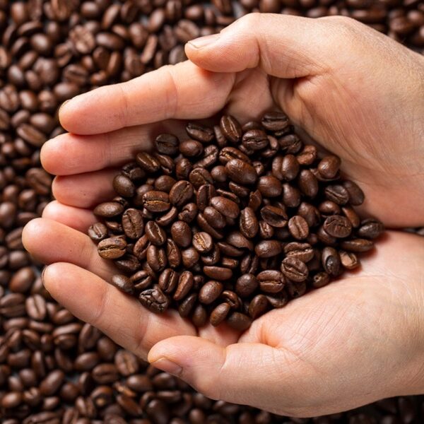 cafe-magnific