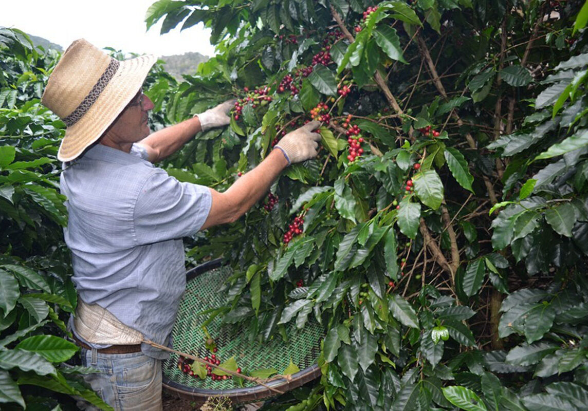 capa_49984_CAFEGovernoES