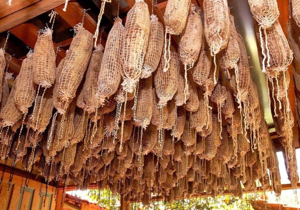 capa_50178_SocolTadeuBianconiSetur