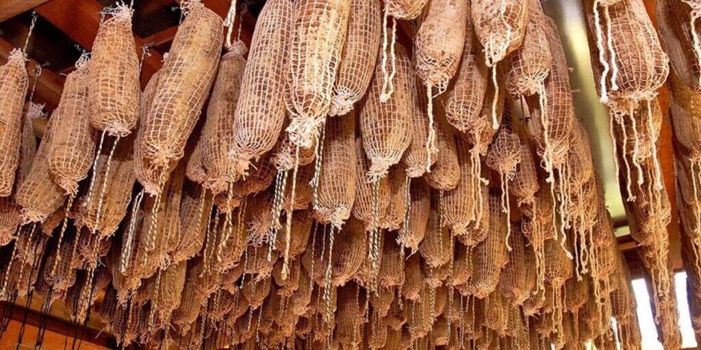 capa_50178_SocolTadeuBianconiSetur