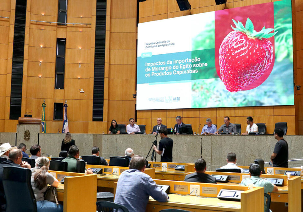 capa_50389_Agricultura17032026HeloisaMendoncaRibeiro