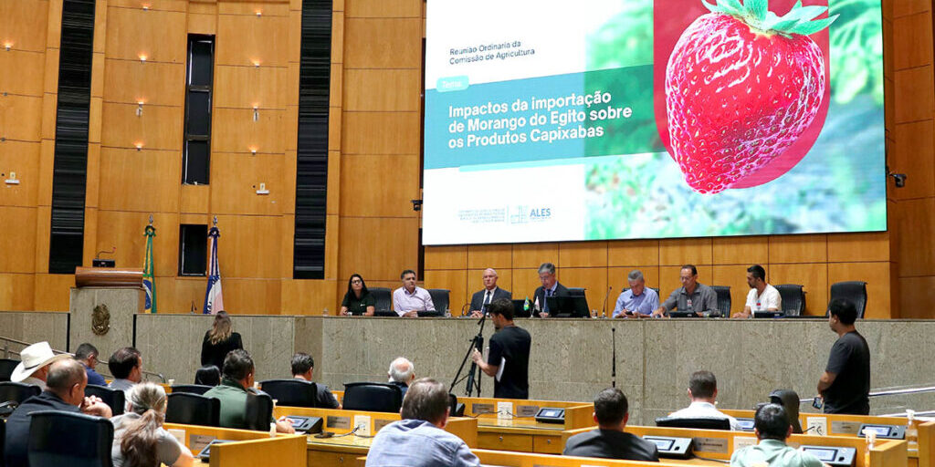 capa_50389_Agricultura17032026HeloisaMendoncaRibeiro