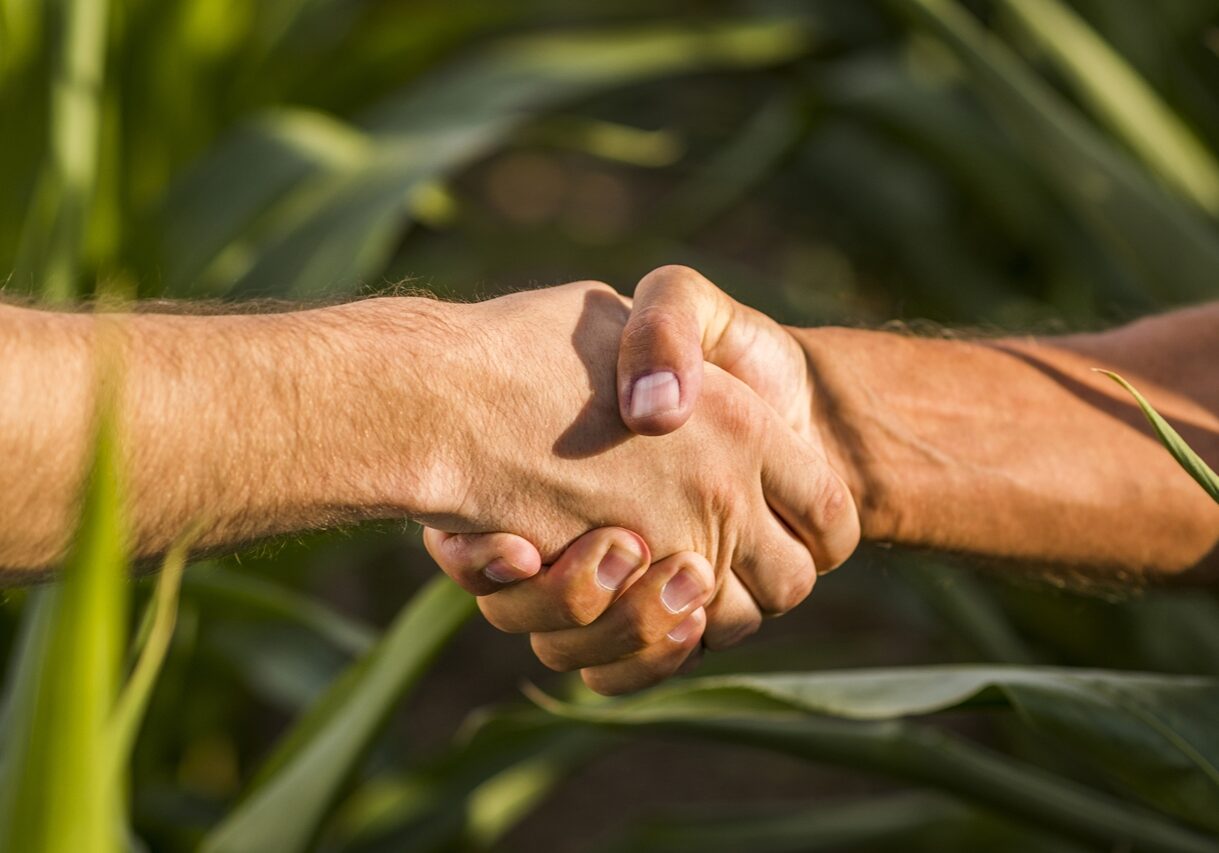 close-up-man-handshake-sunny-day
