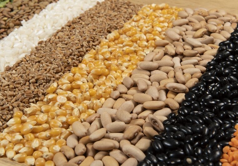 Collection of different cereal varieties and edible dry seeds. Examples of fiber sources