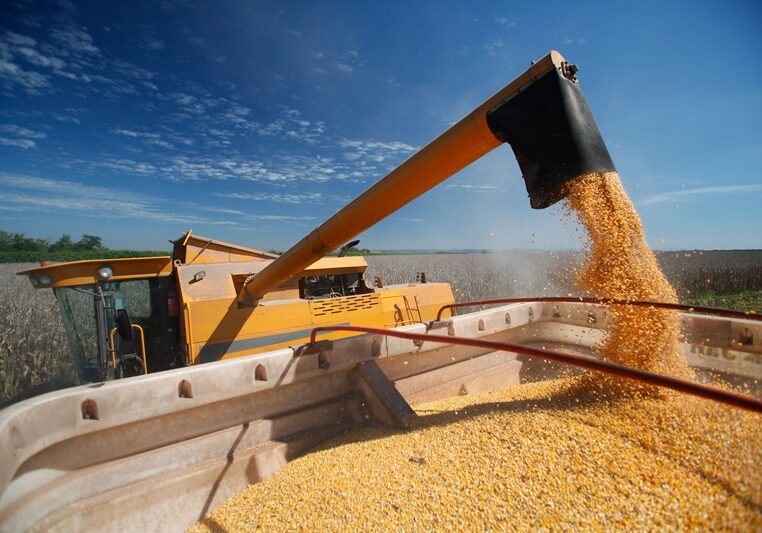 corn harvest on farmland in brazil