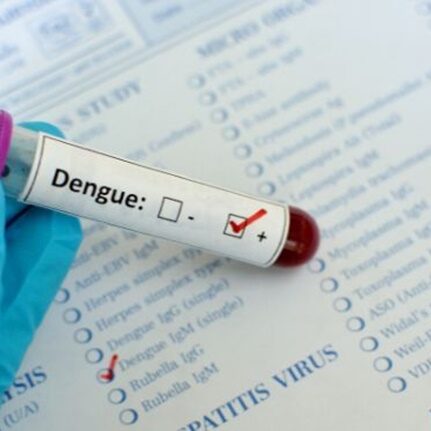 dengue-2