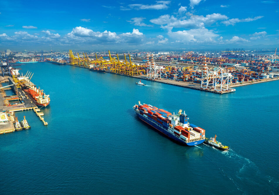 exportação- foto- magnific