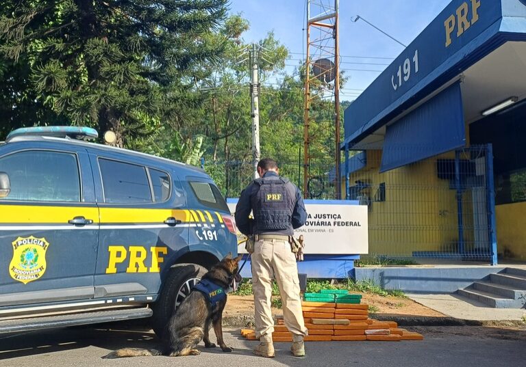 f4425084-fbeb-4b3c-91cf-6f40b239ee30