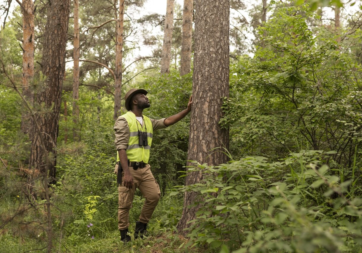 full-shot-forest-warden-looking-tree