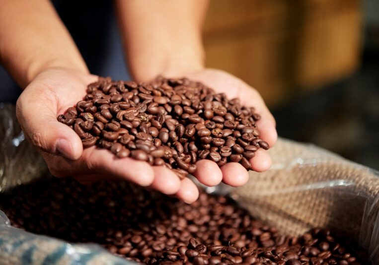 Roasted coffee beans in bag Close-up of male hands holding fresh roasted coffee beans in his hand and showing it good quality