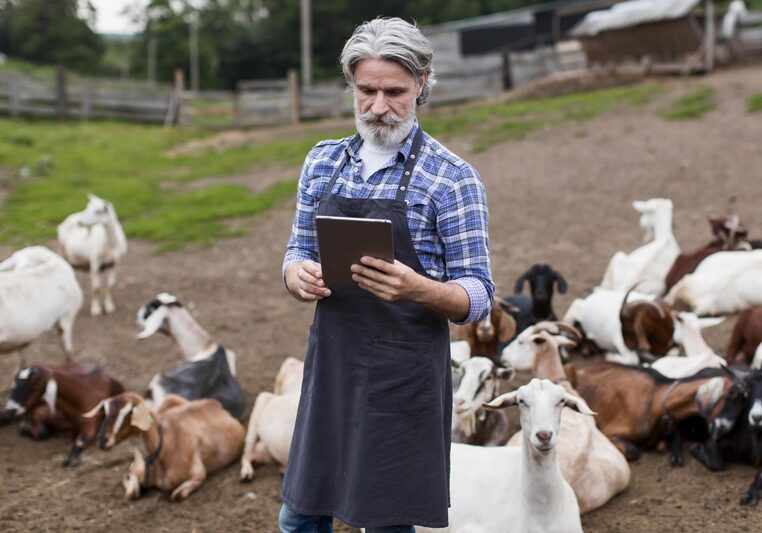 man-farm-looking-tablet