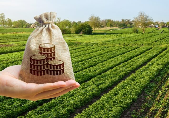 Money bag and farm field background. Lending and subsidizing farmers. Grants, financial support. Agribusiness profit . Land value valuation. Land tax. Agricultural startups. Secured loan. Investments