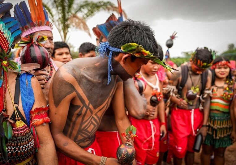 populacao indigena
