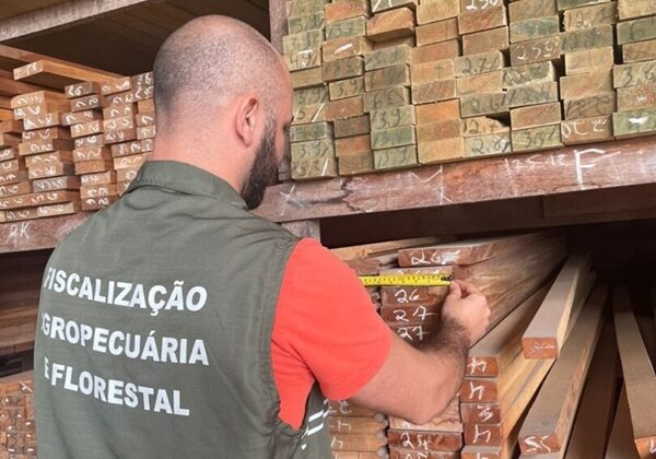 registro de atividade florestal