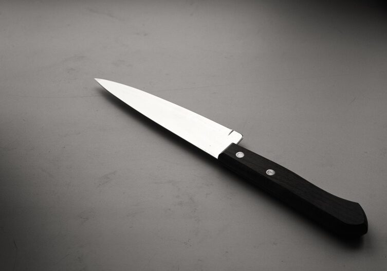 Sharp single kitchen knife in black and white with a wooden handle and a chrome silver untarnished blade