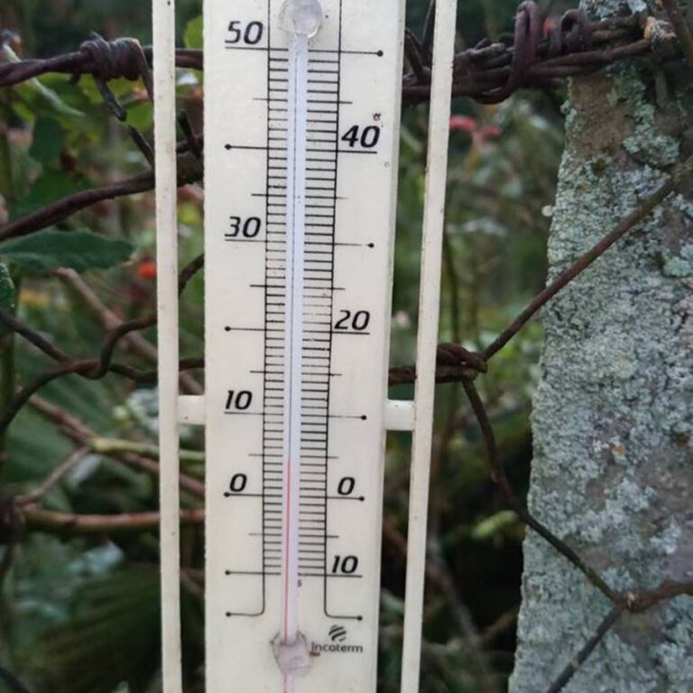 termonetro de temperatura baixa- foto divulgação