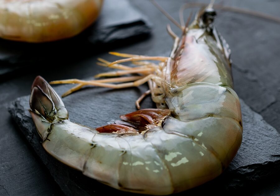 A vertical shot of raw shrimps on black rock slates