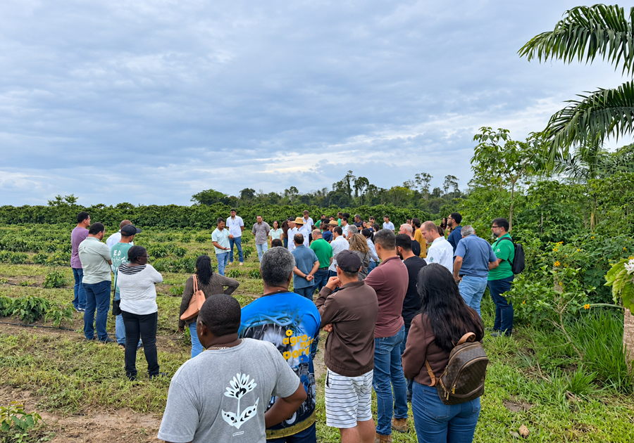 visita-tecnica-a-plantacao-verde