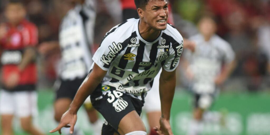 © Ivan Storti/ Santos FC/Direitos Reservados